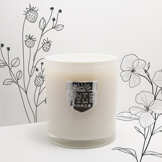 Berries Maison Candle - MAISON ANTONIUS